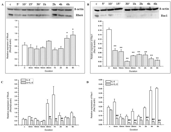 FIG 6