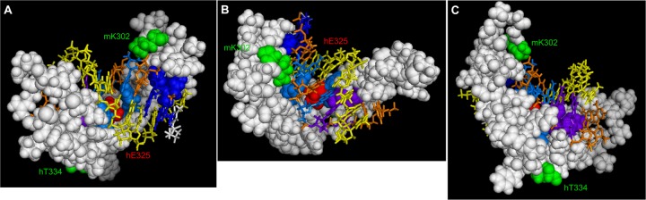 Fig 3