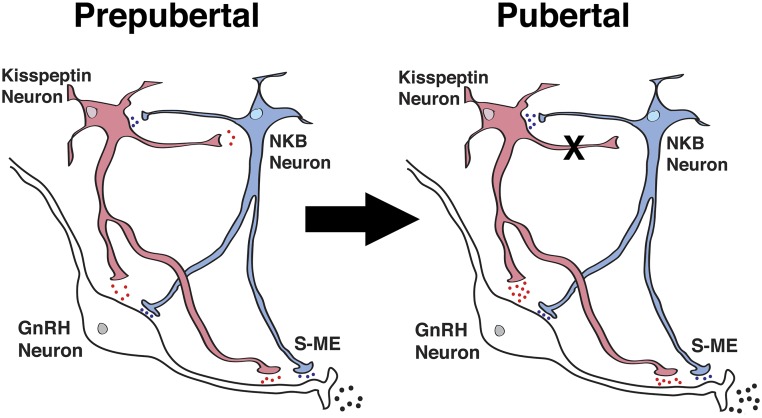 Figure 9.