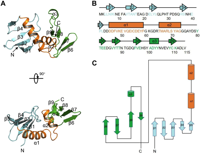 Figure 2