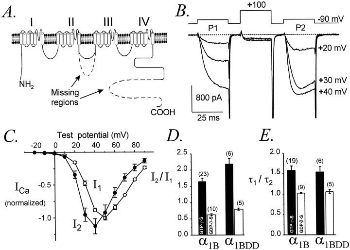 Fig. 11.