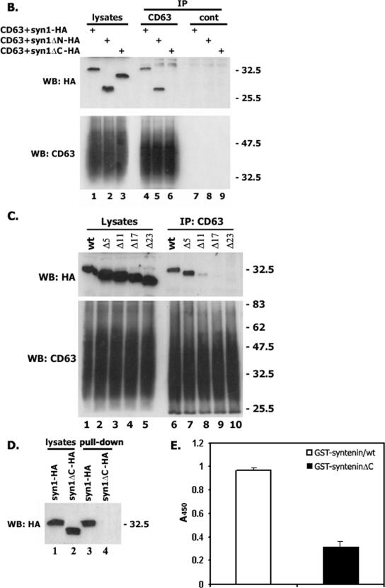 FIG.6.