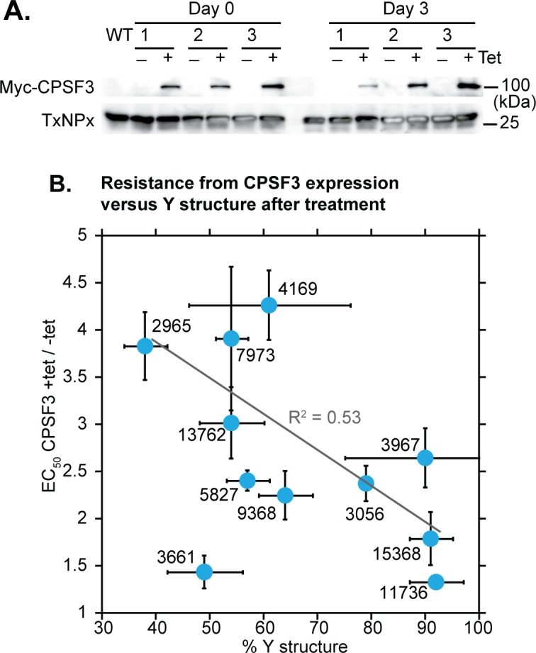 Fig 10