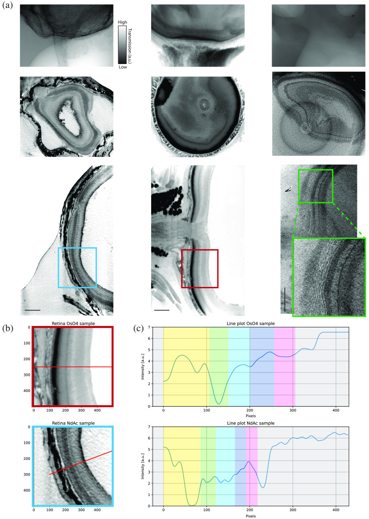 Fig. 2