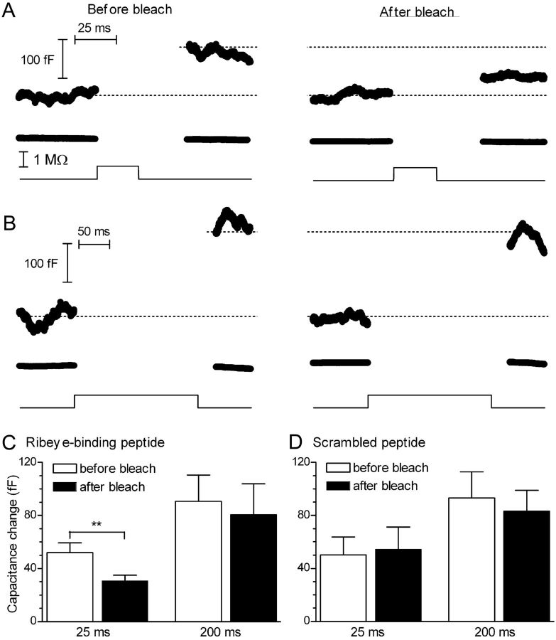 Figure 10.