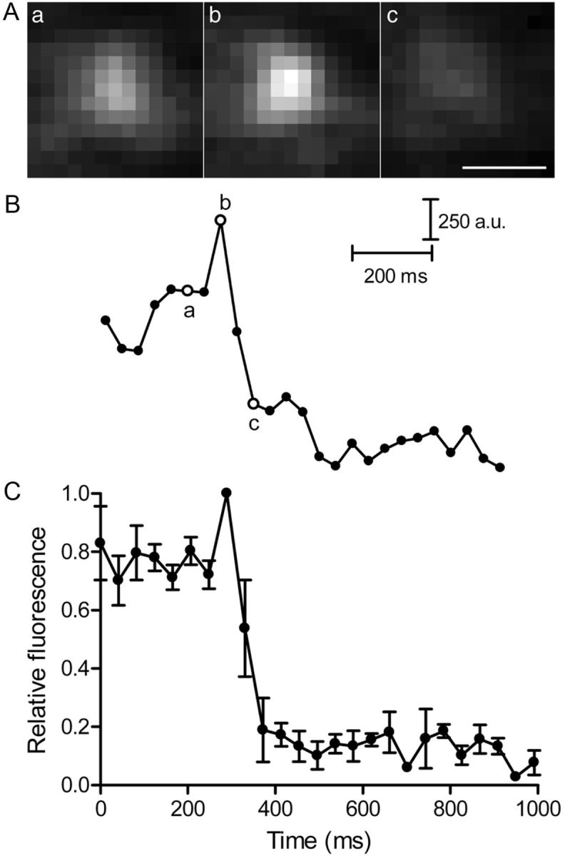 Figure 12.