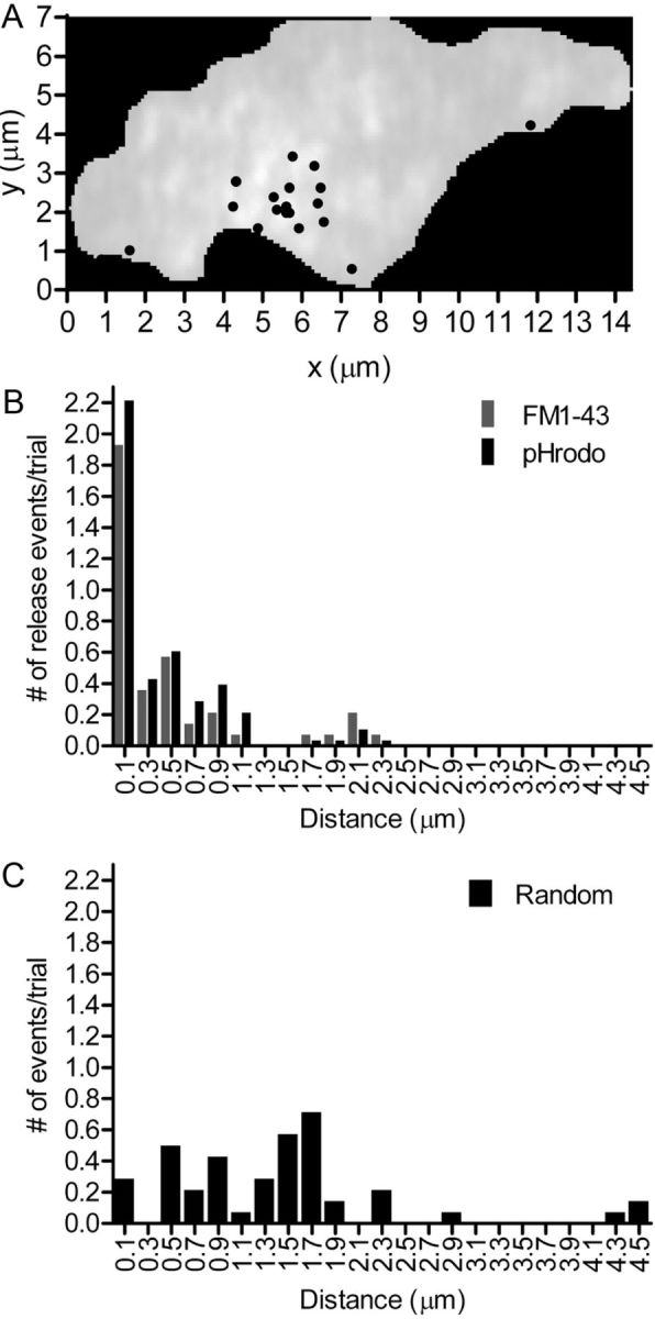 Figure 7.