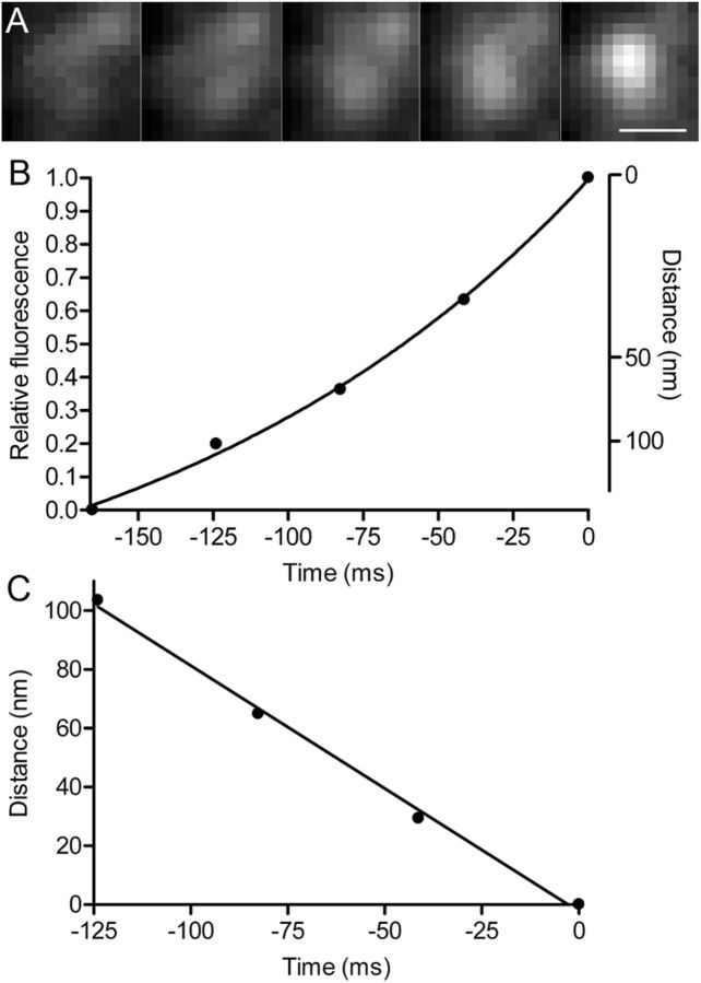 Figure 11.