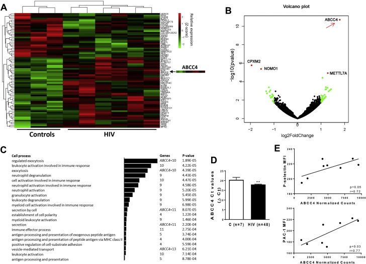 Figure 2