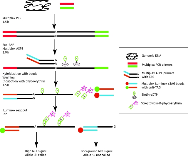 Figure 2