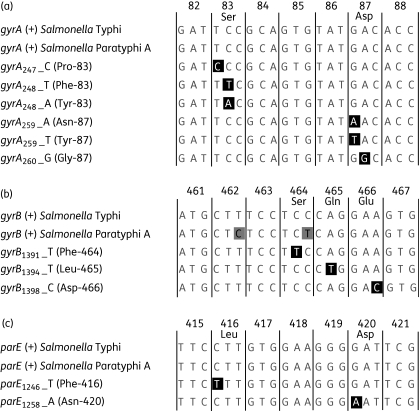 Figure 1