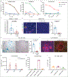 Figure 2|