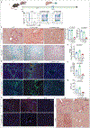 Extended Data Fig.6|