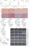 Figure 3|