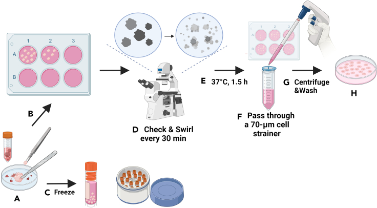 Figure 3