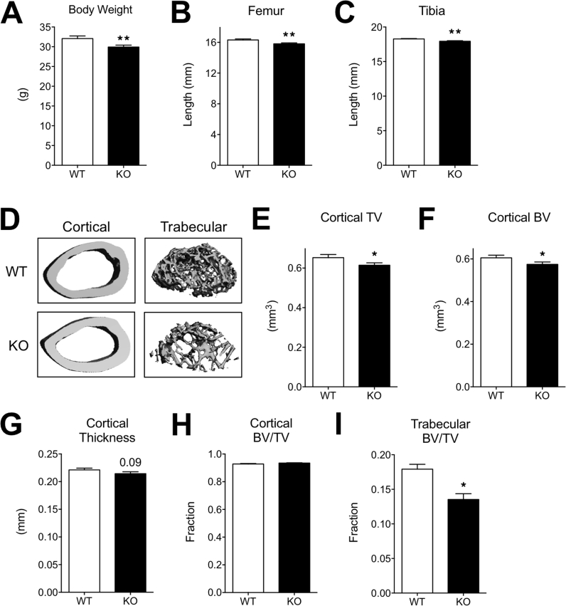 graphic file with name figs1.jpg