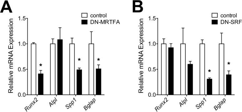 Supplemental Figure 2