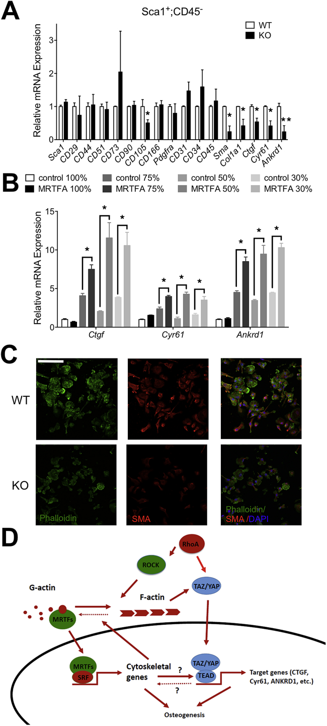 Figure 6