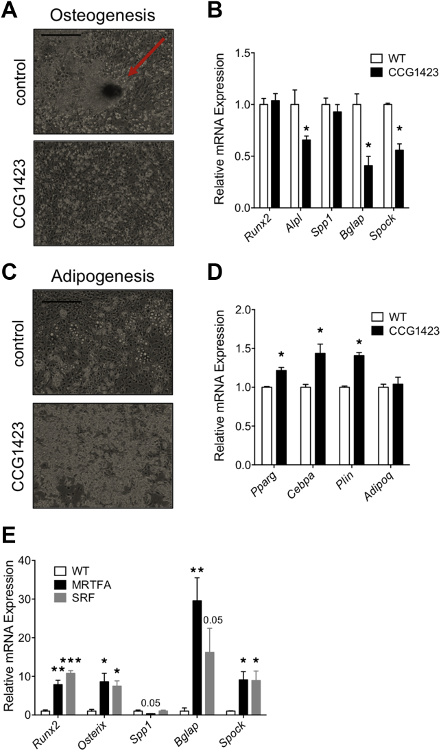 Figure 5