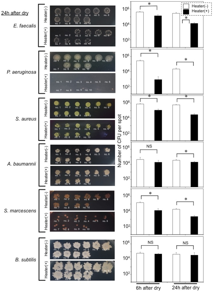 Fig 6