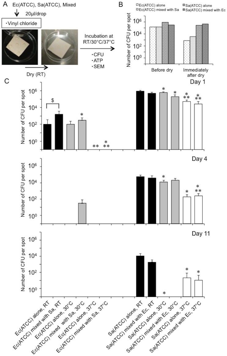 Fig 1