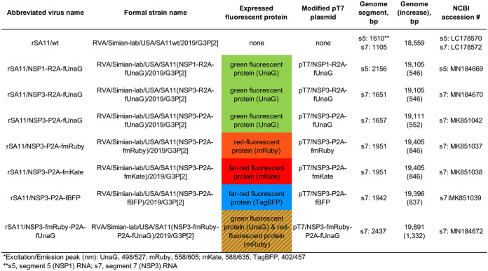 FIG 1