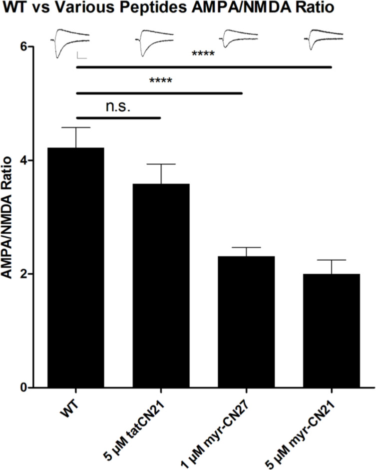 Figure 1—figure supplement 1.