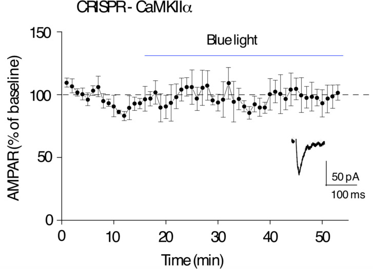 Figure 3—figure supplement 2.