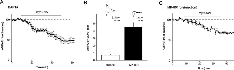 Figure 4—figure supplement 1.