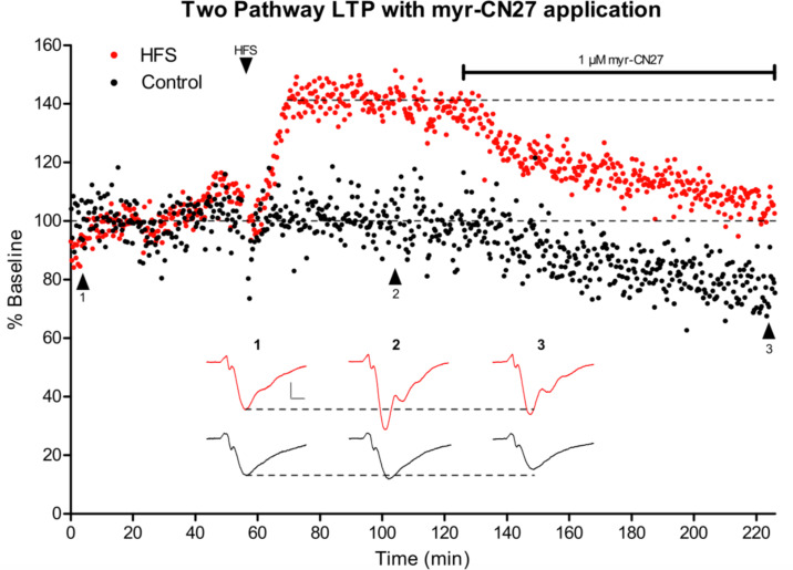 Figure 6—figure supplement 1.