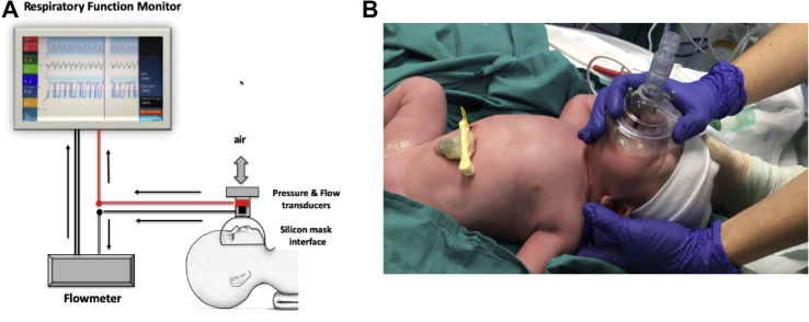 Figure 1