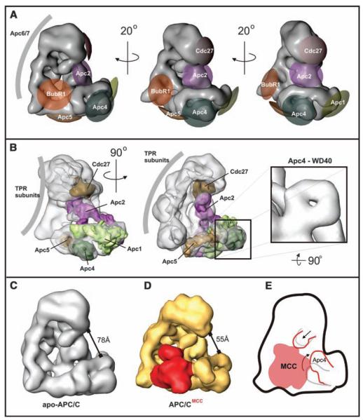 Fig. 3