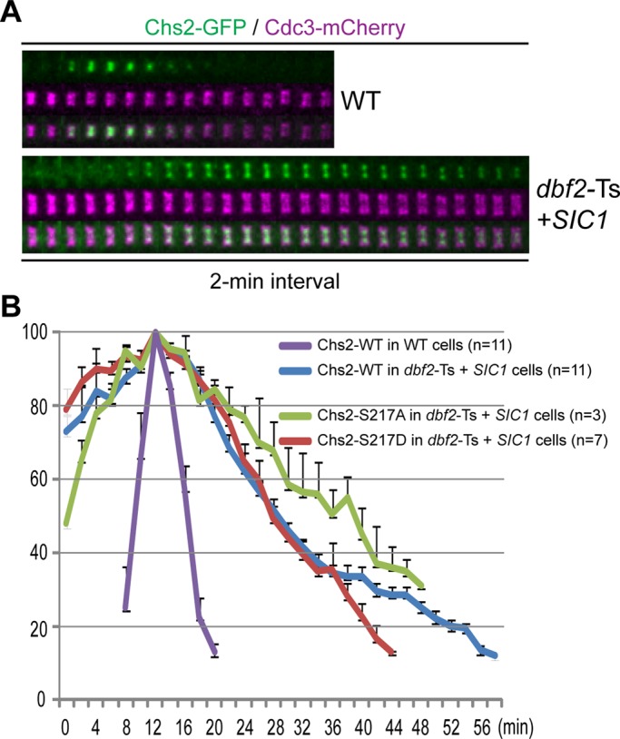 FIGURE 6: