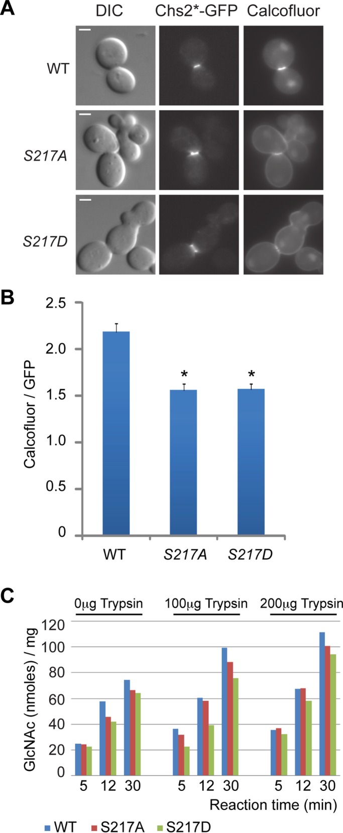 FIGURE 3: