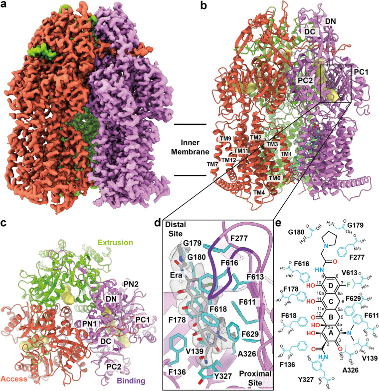 FIG 2