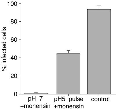 FIG. 7.