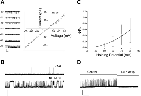 Fig. 9.