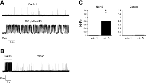 Fig. 10.