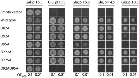 Fig. 5.