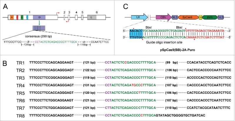 Figure 1.