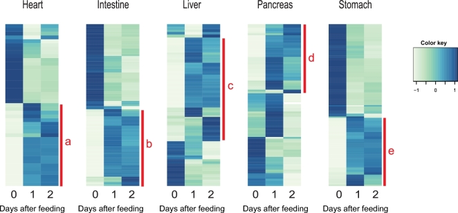 Figure 3: