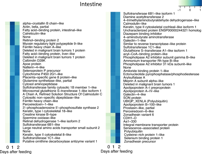 Figure 5: