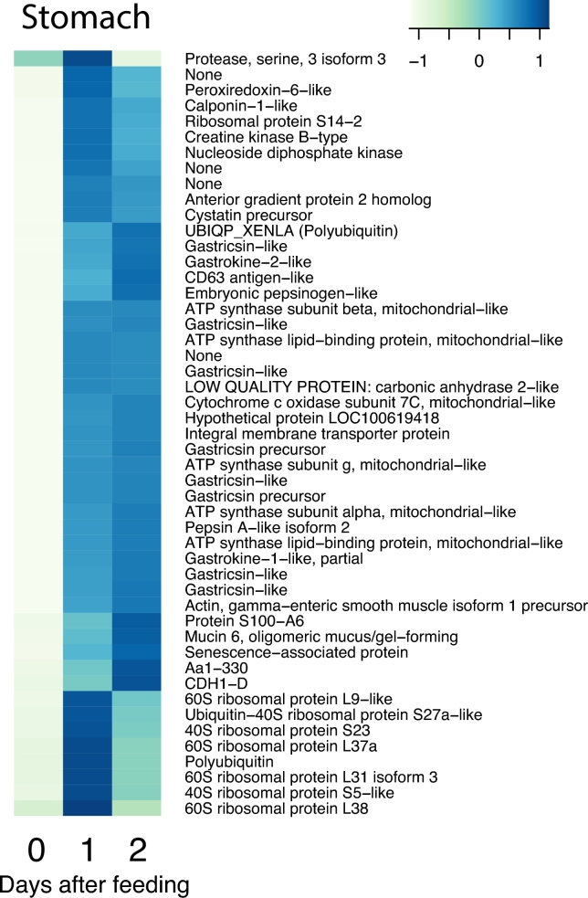 Figure 4: