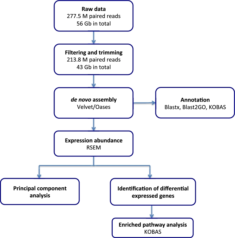 Figure 1: