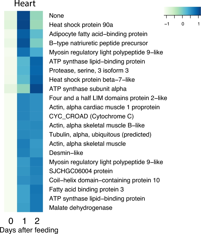 Figure 6: