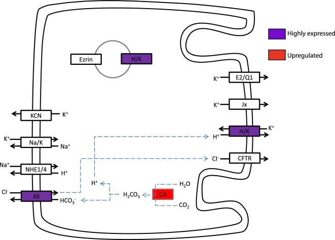 Figure 10: