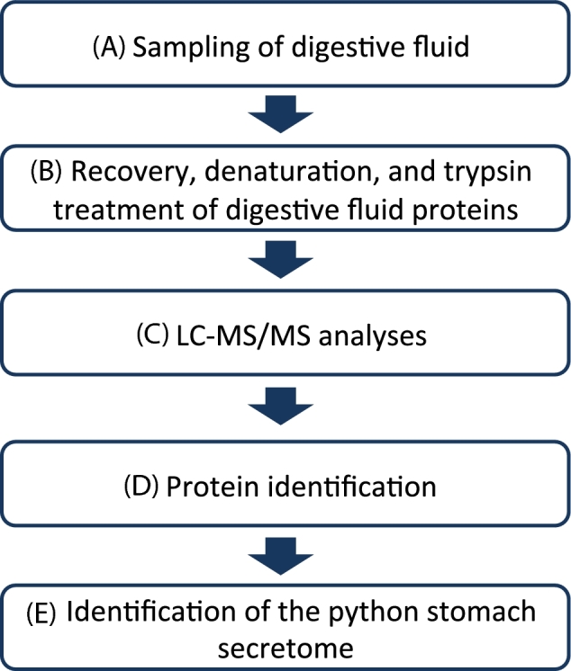 Figure 9: