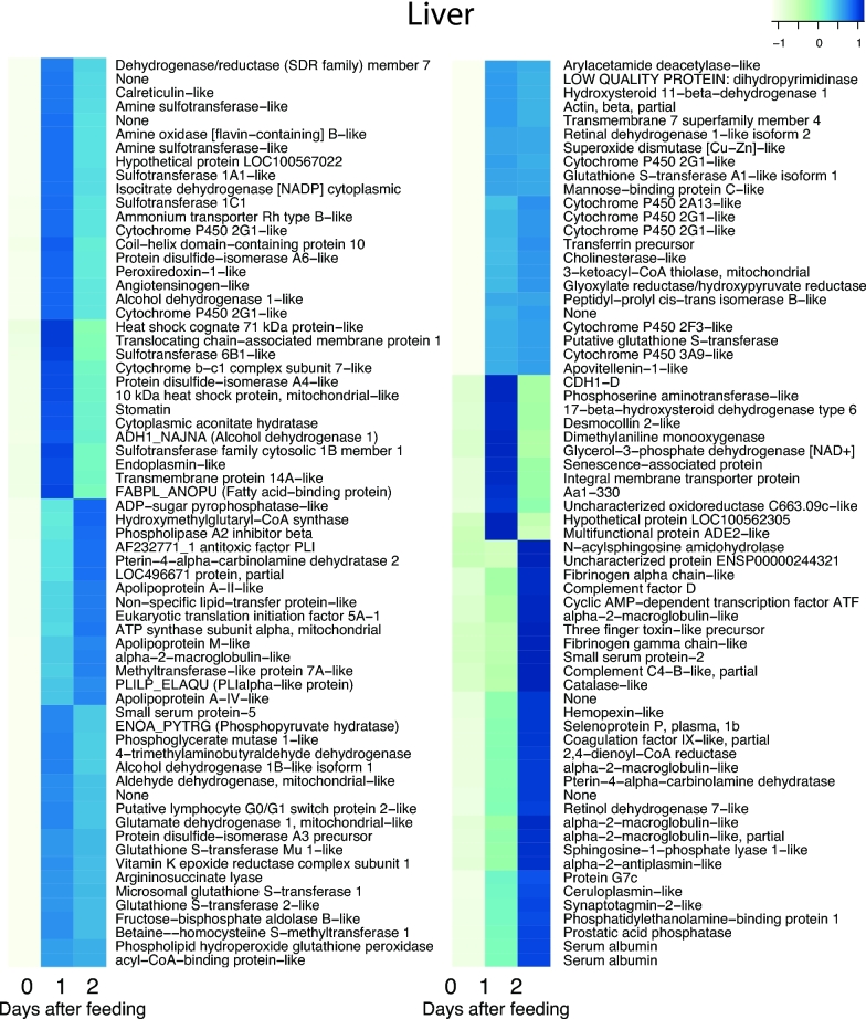 Figure 7: