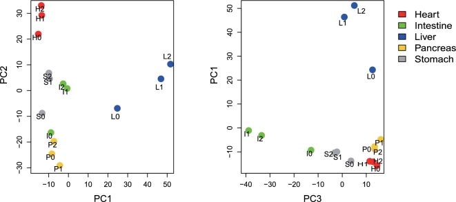 Figure 2: