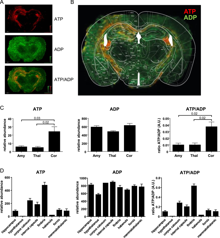 Figure 3